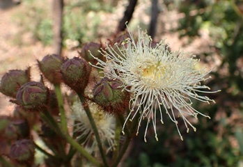 PB261643a.jpg